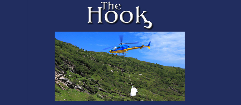 The Hook newsletter
